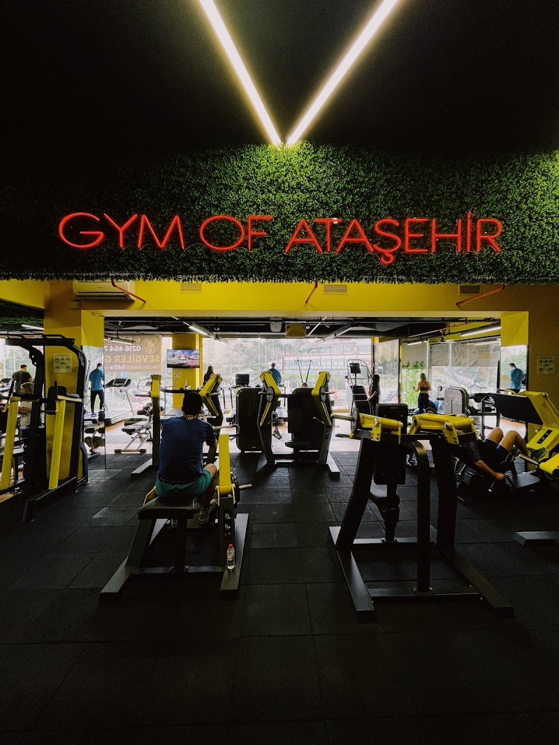 Gym Of Ataşehir