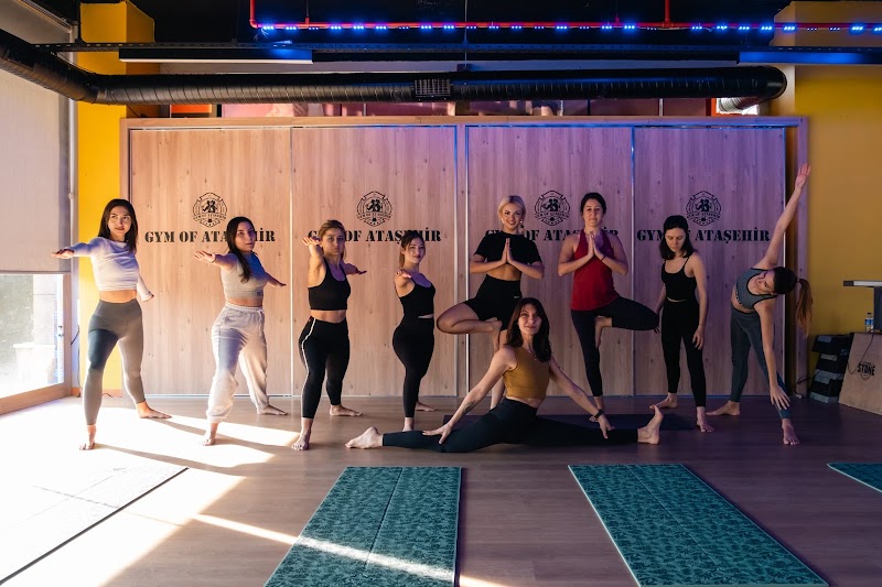 Gym Of Ataşehir