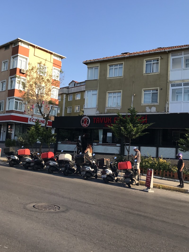 Tavuk Fakültesi